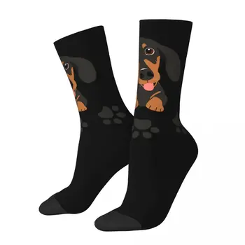 Мужские носки Happy с рисунком собаки и лапы в стиле такса, Винтажные повседневные носки в стиле харадзюку, подарочный рисунок